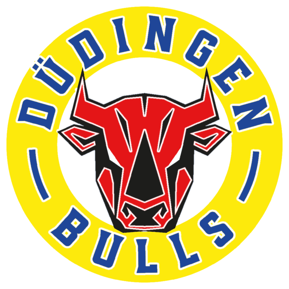 Logo HC Düdingen Bulls